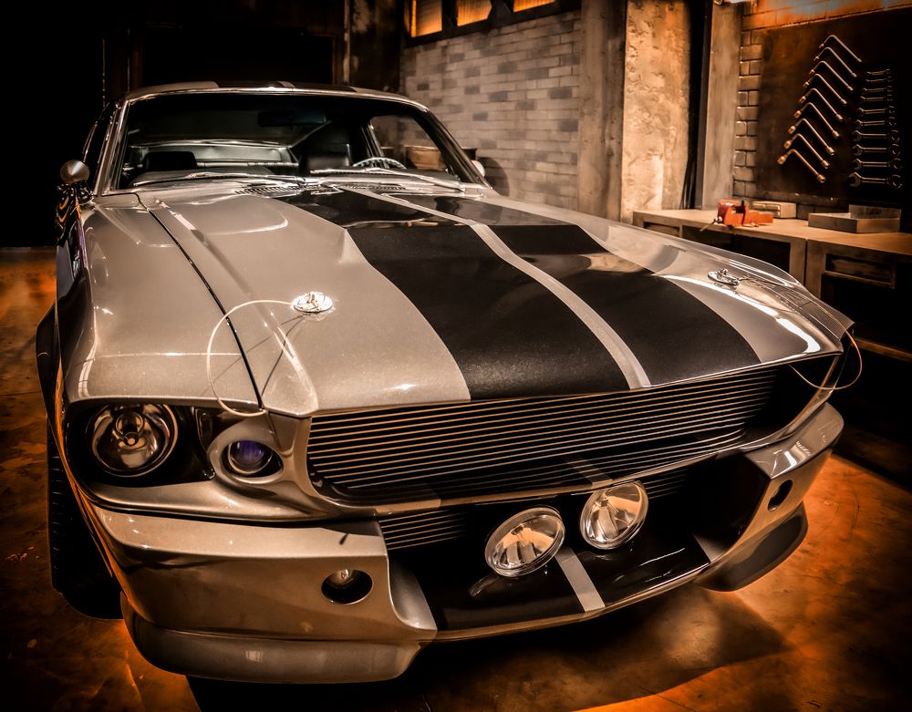 Photograph by Medeiros Everton