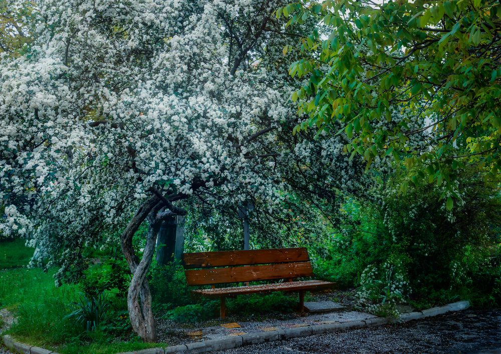 Photograph by Владимир Кваша