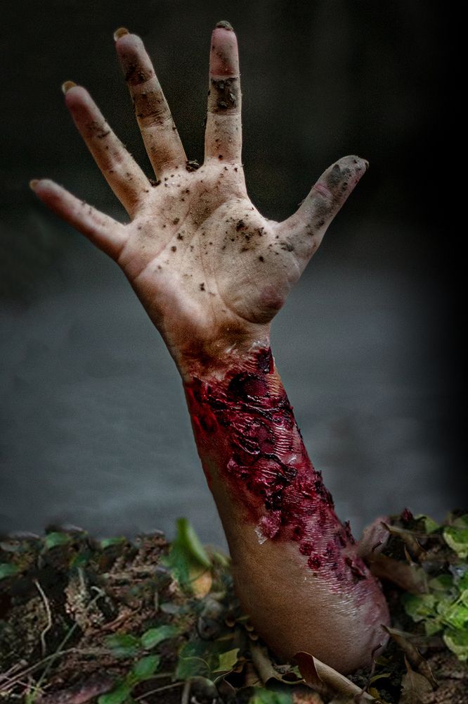 Photograph by Sohom Ghosh