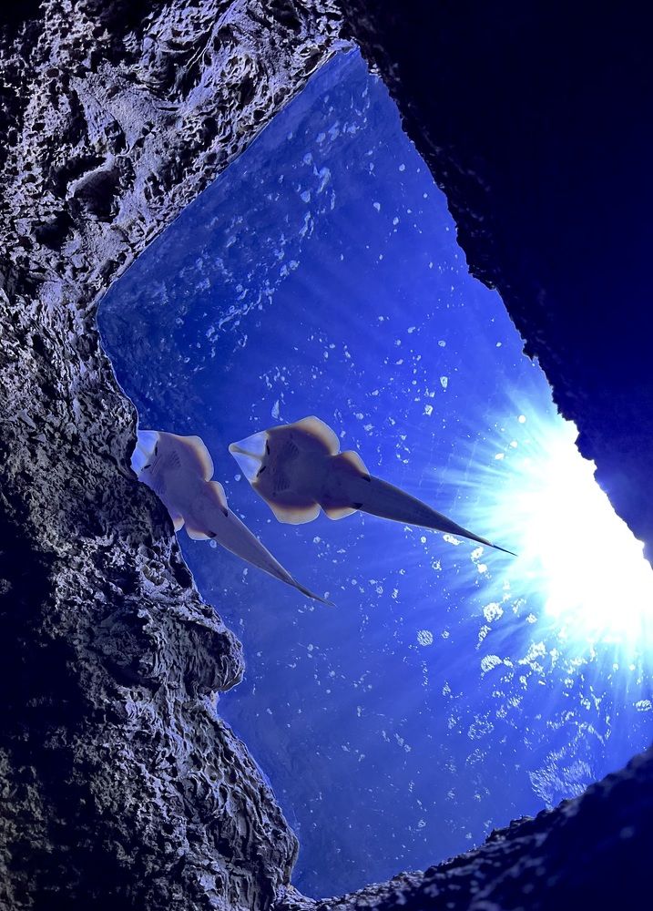 Photograph by Любовь