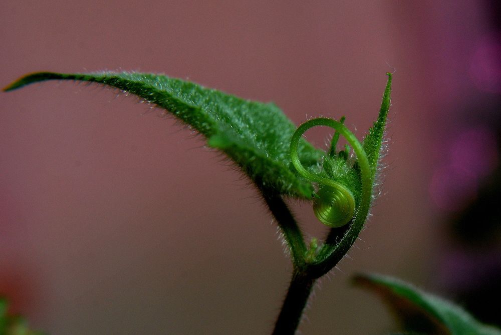 Photograph by Алексей Volg