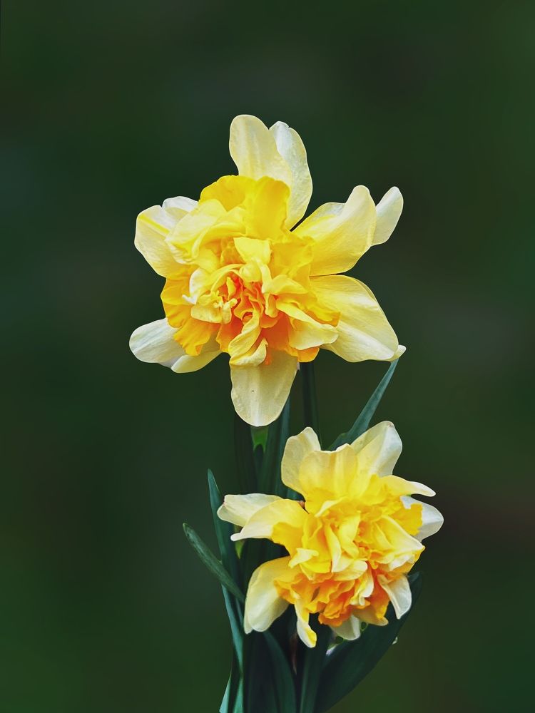 Photograph by Елена Громова