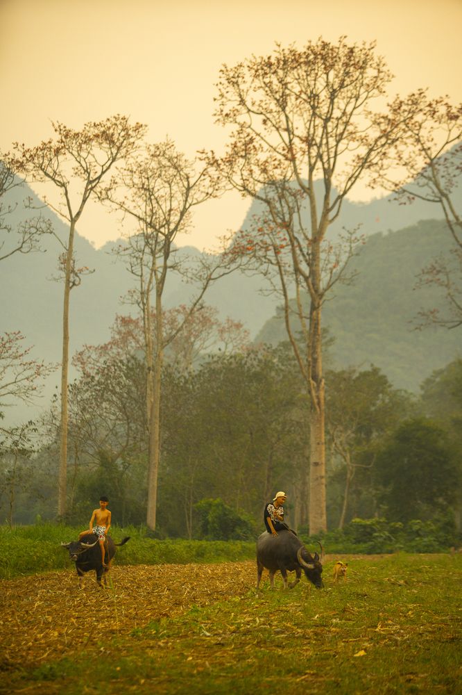 Photograph by Nguyễn Hữu Trung