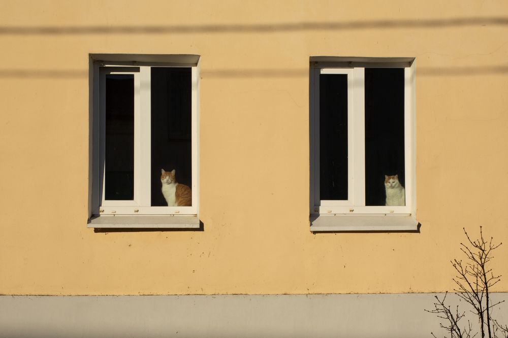 Photograph by Наталья Кулемина