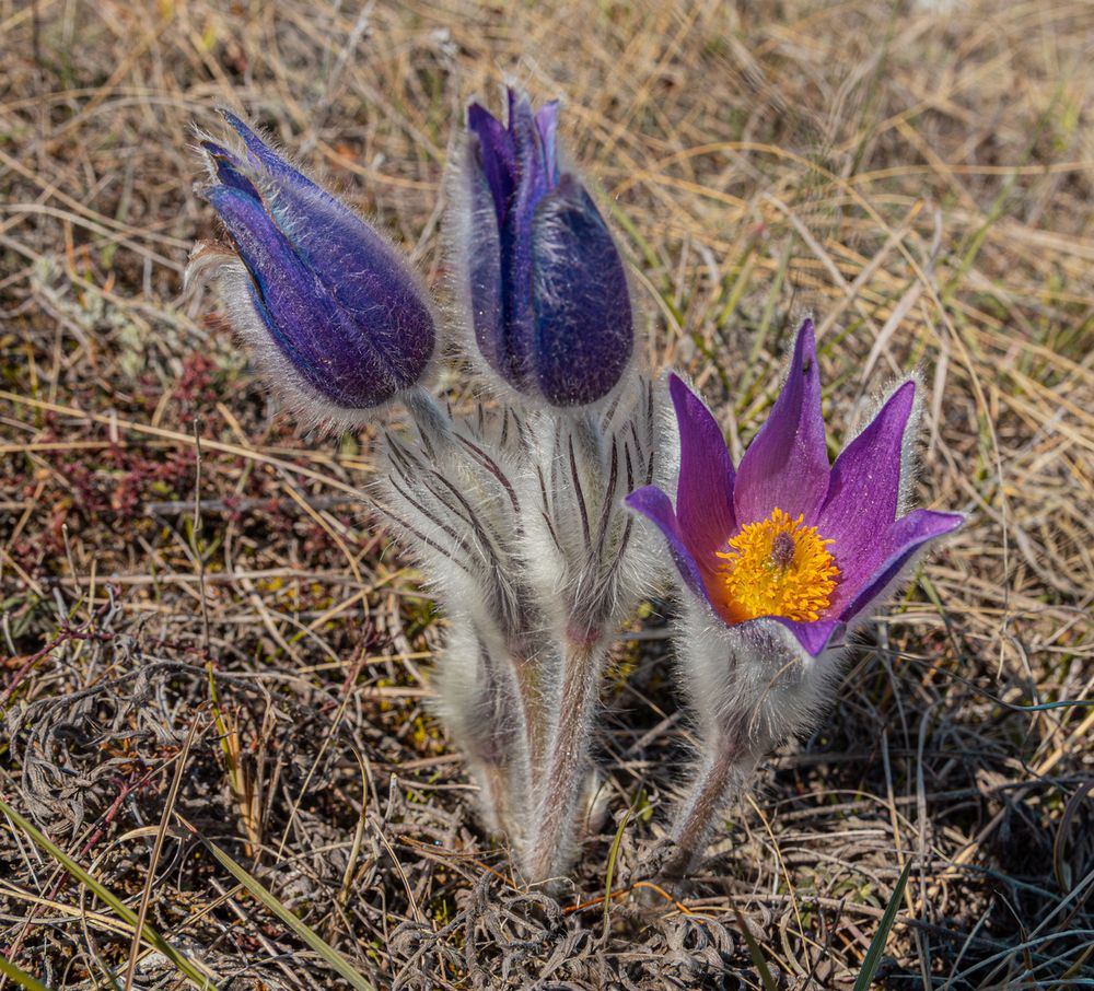 Photograph by Сергей Христинич