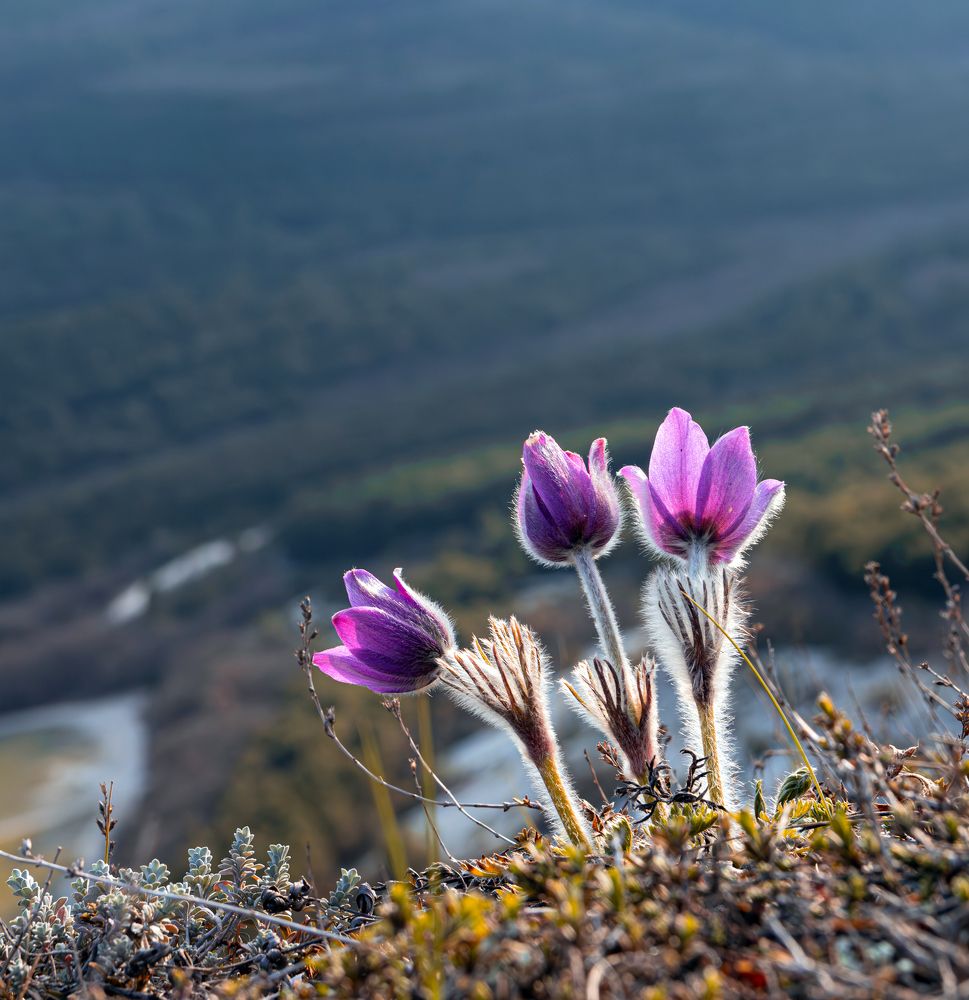 Photograph by Сергей Христинич