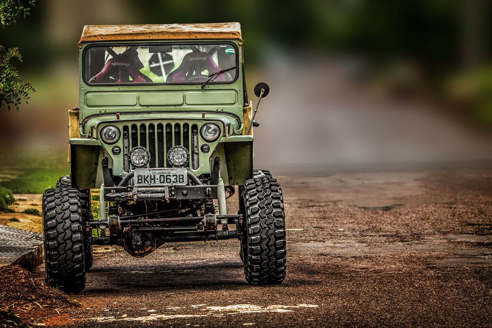 Photograph by Medeiros Everton