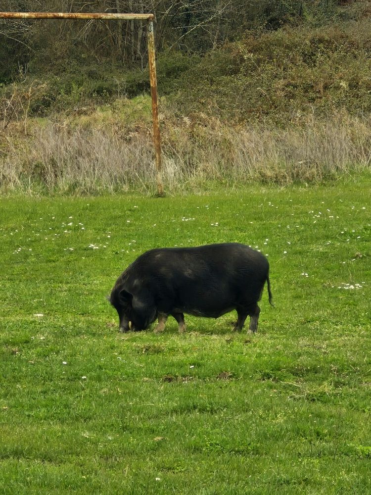 Photograph by Igor Chechin