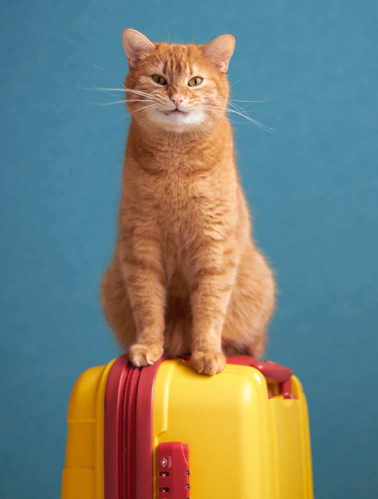 Photograph by Natalia Malaia