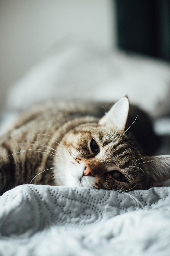 Photograph by Natalia Malaia