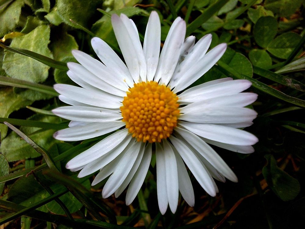 Photograph by Igor Chechin