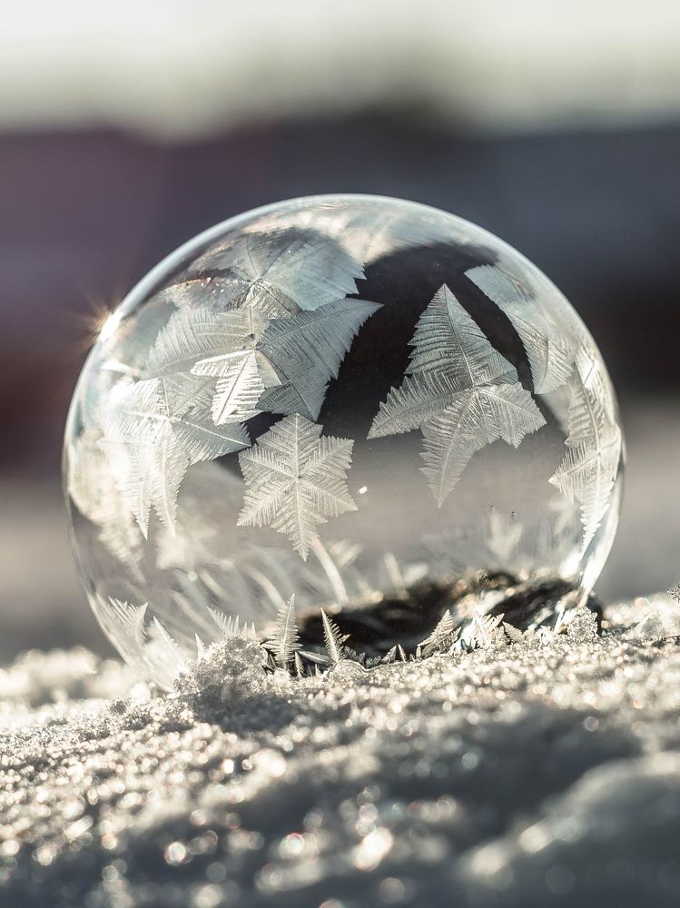 Photograph by Людмила Прибылова