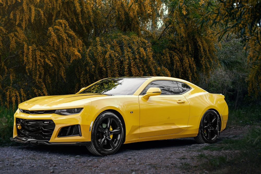 Photograph by Antonina Geckil