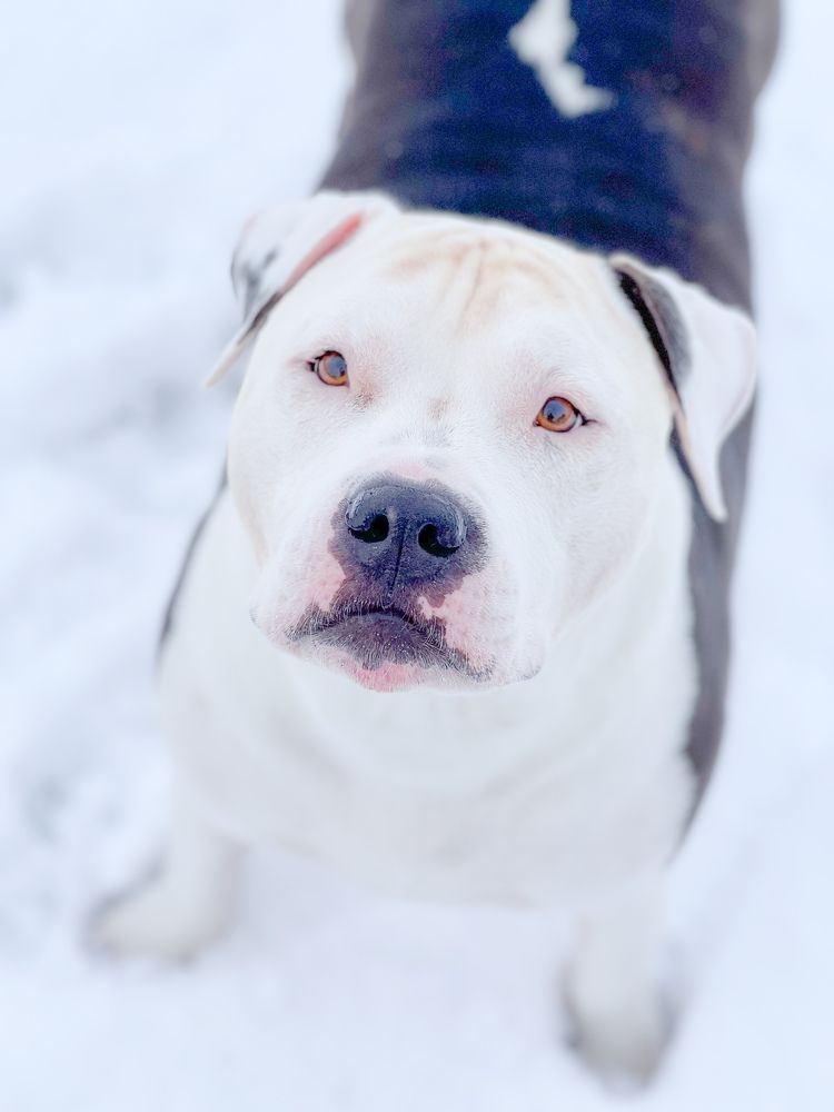 Photograph by Екатерина Андрусенко