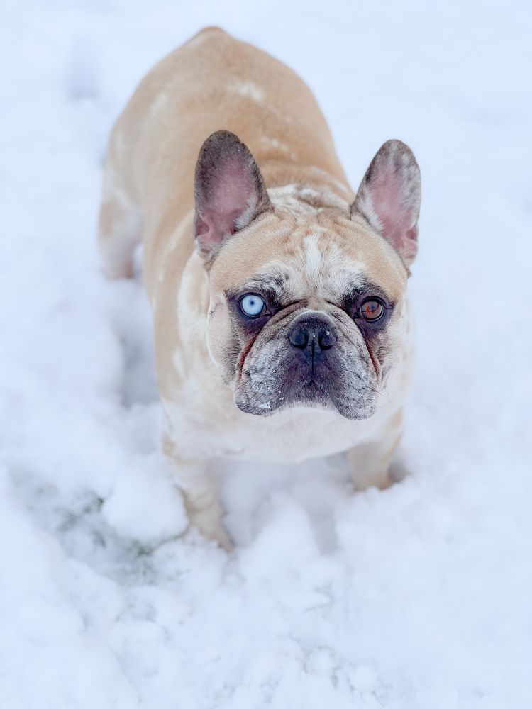 Photograph by Екатерина Андрусенко