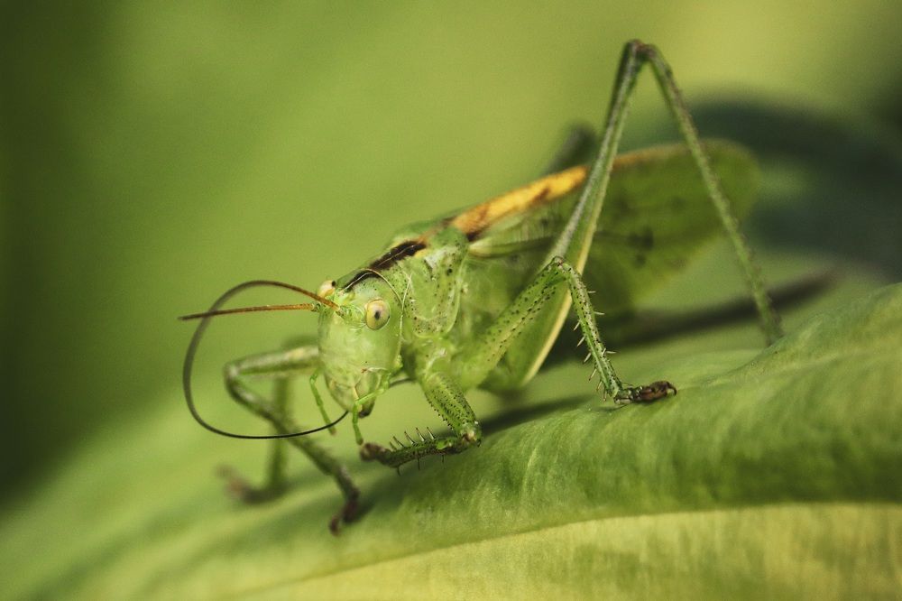 Photograph by Хельга Кольцова