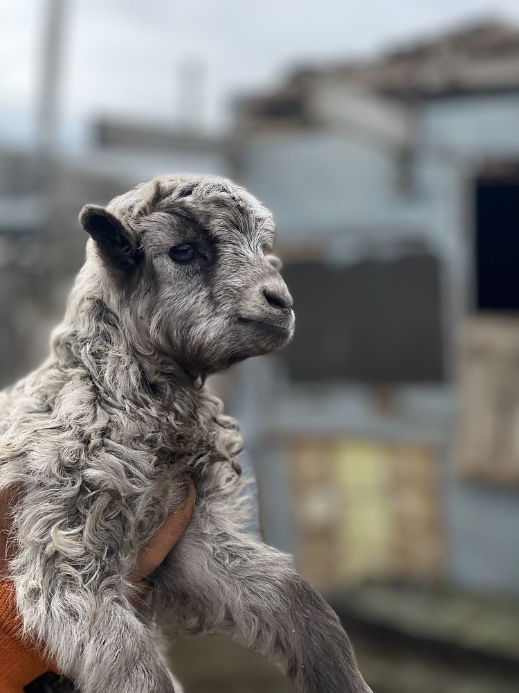 Photograph by Елена Тертишникова