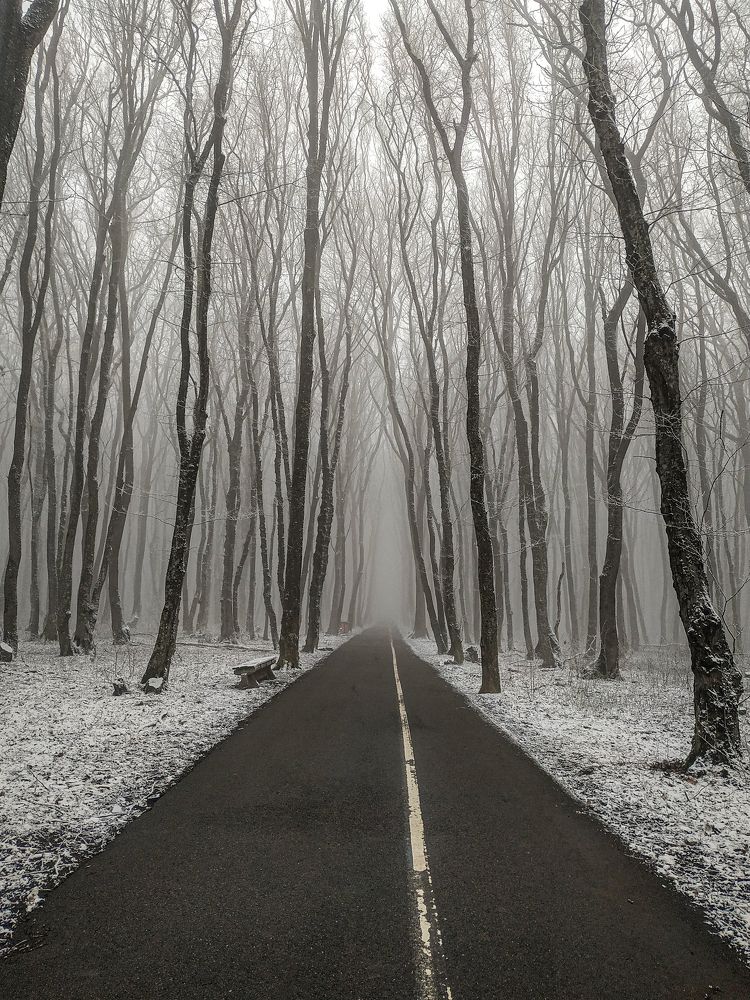 Photograph by Виталий Маслов