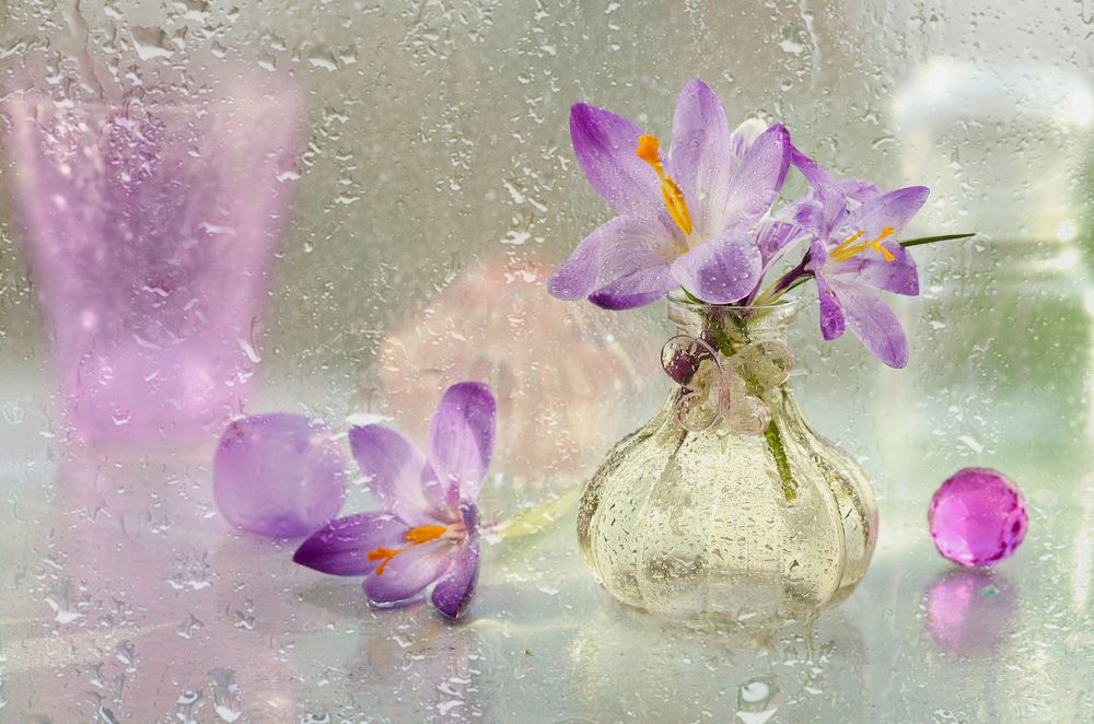 Photograph by Шруб (Беляева) Татьяна