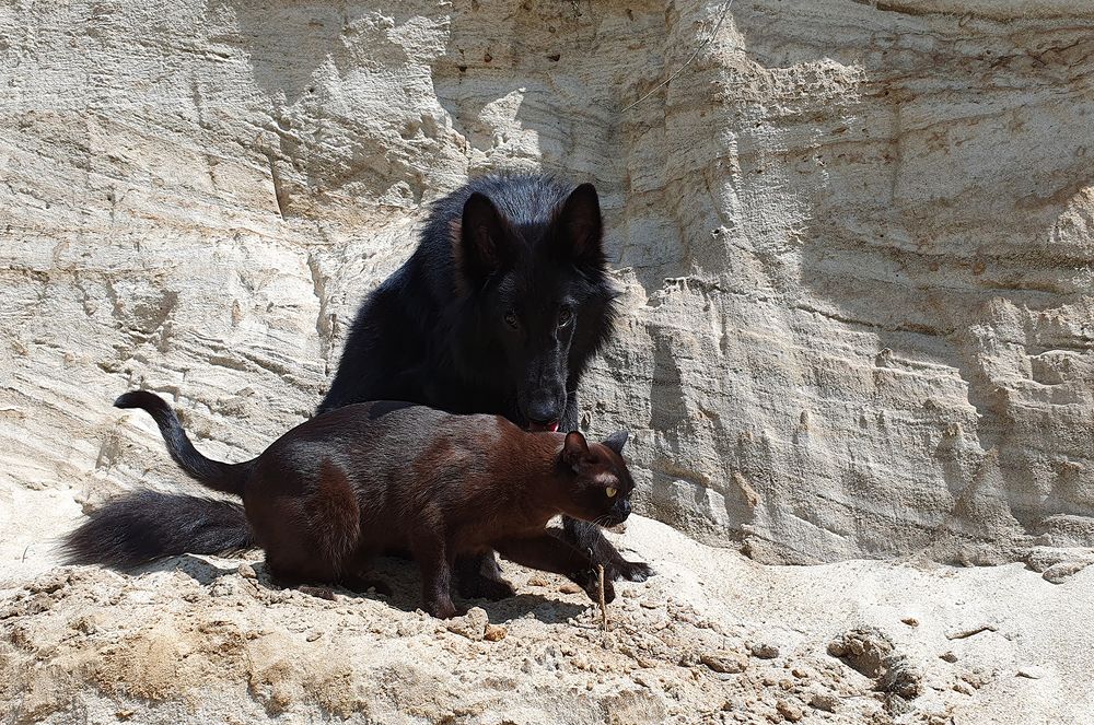 Я буду рядом.