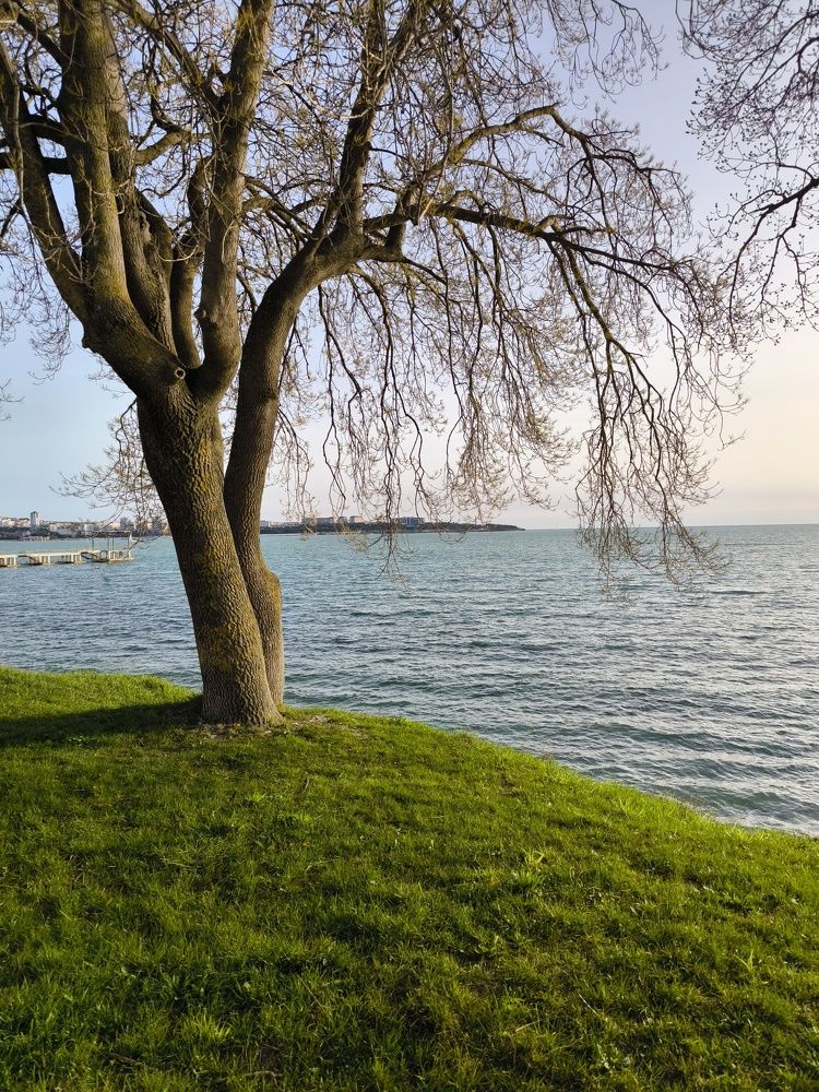 Фотография автора Юлия Лубкина