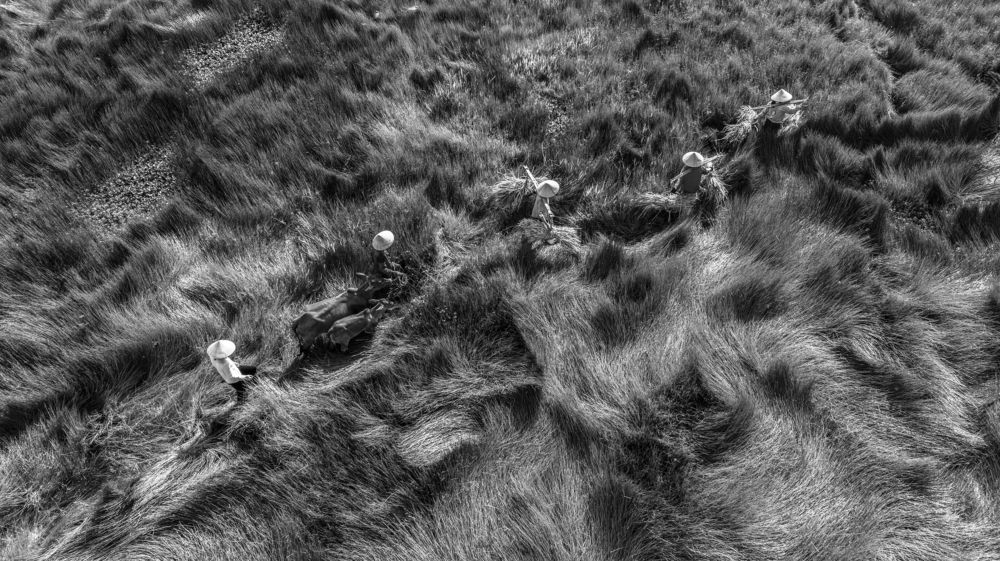 Фотография автора Sơn nguyễn ngọc