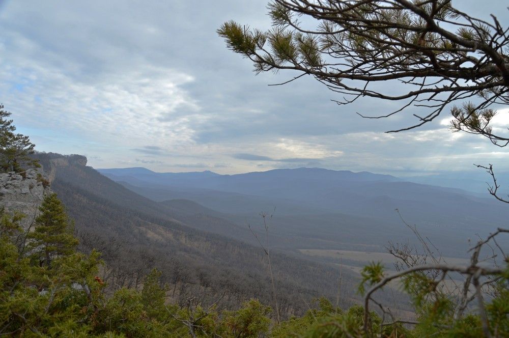 Photograph by Ольга Шевцова