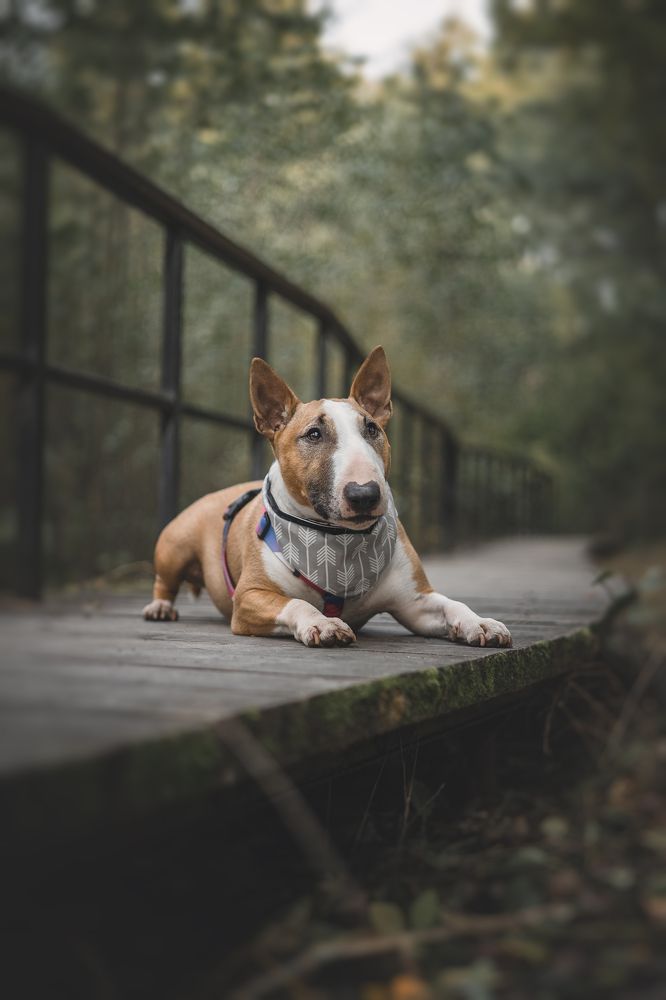 Фотография автора Вика Сердюкова