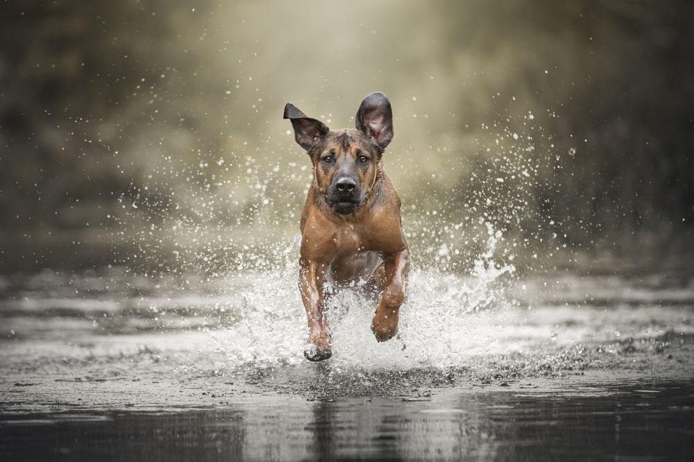 Photograph by Paula Casado Gutierrez