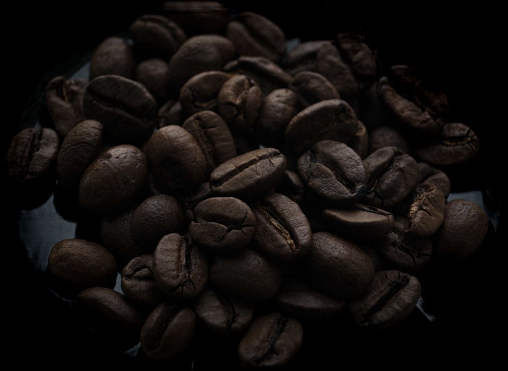 Photograph by Nikita Ostarkov