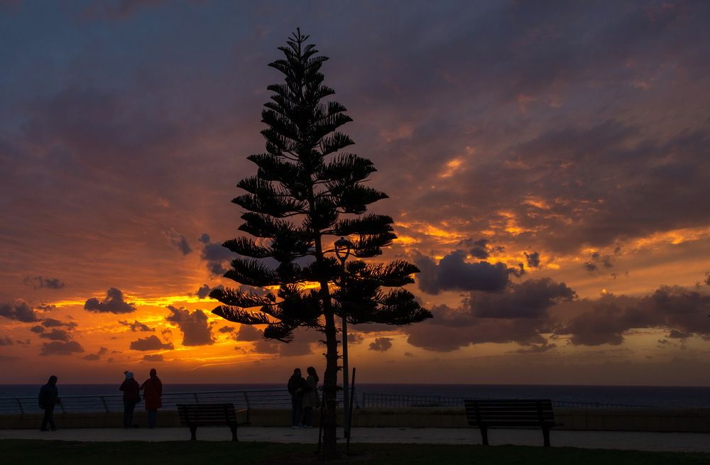 Photograph by Vladimir Bragilevsky