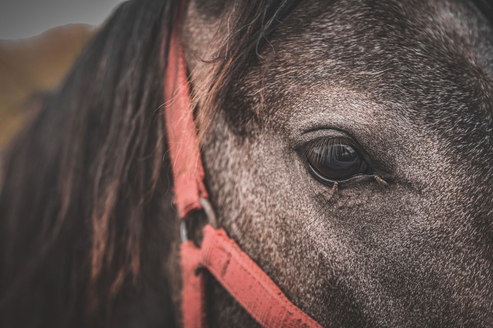 Фотография автора Владимир Кириллов