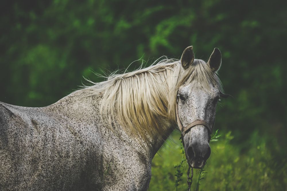 Фотография автора Владимир Кириллов
