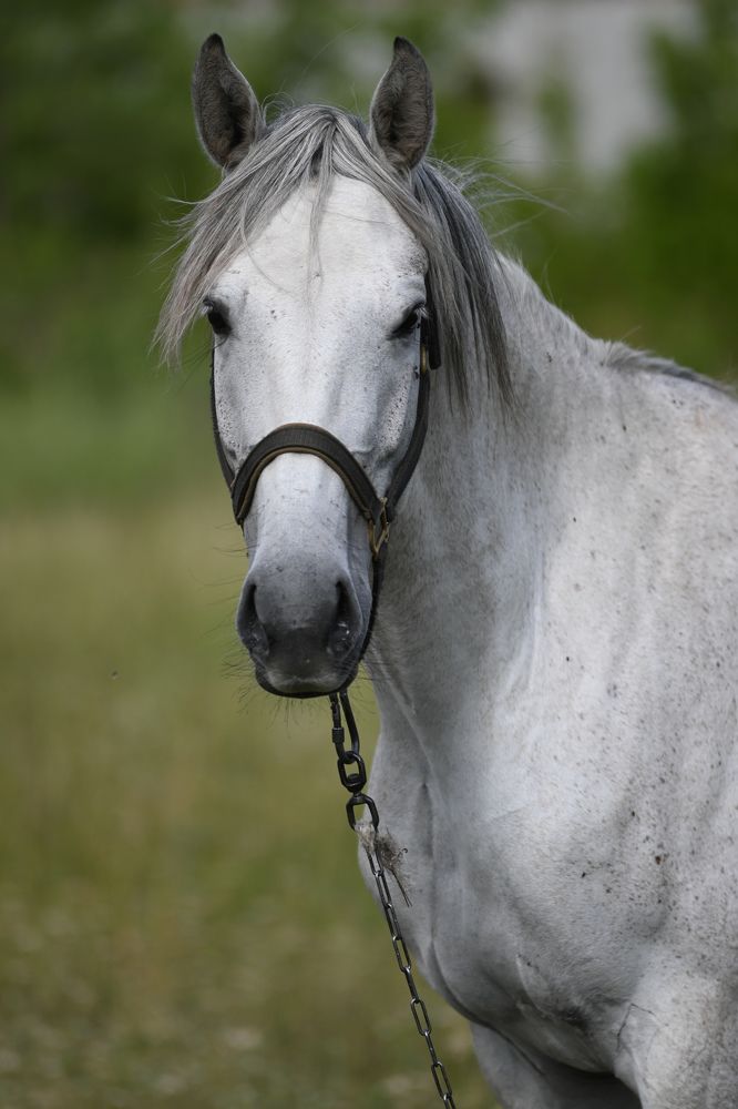 Фотография автора Владимир Кириллов