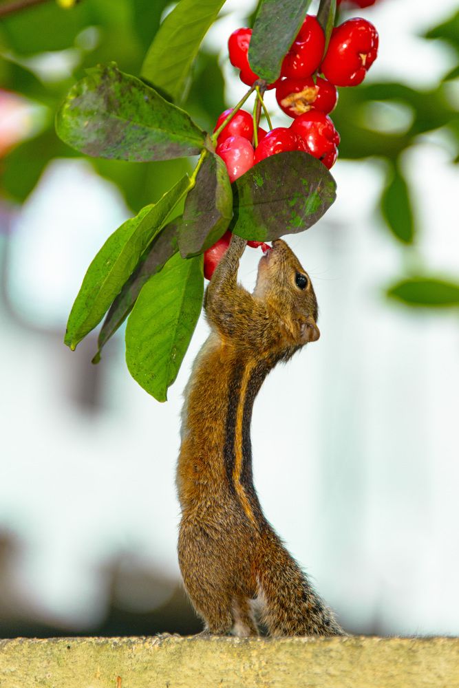 Photograph by Дмитрий Юдин