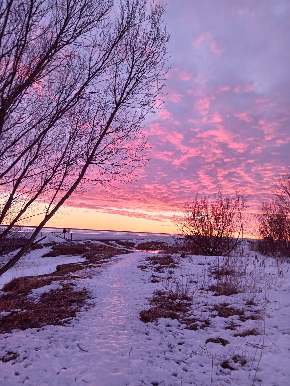 Photo #10505914