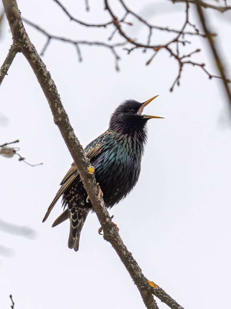 Photograph by Сергей Хабаров