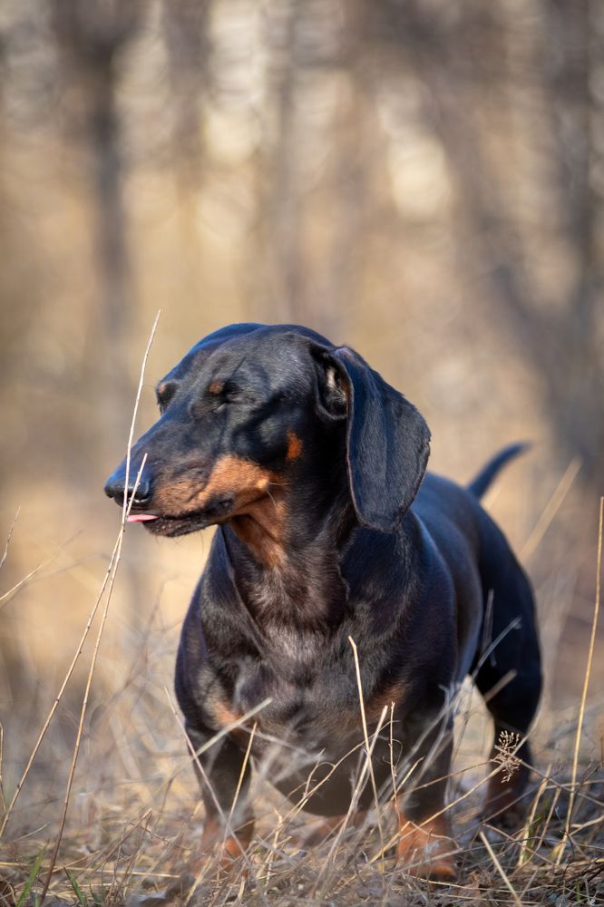 Photograph by Дмитрий Тимин