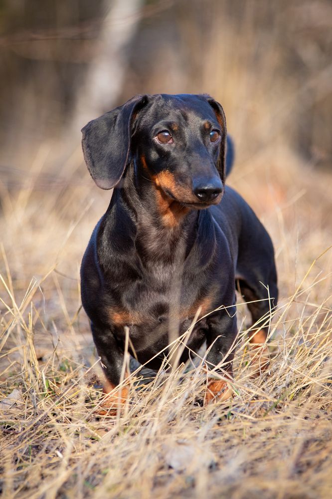 Photograph by Дмитрий Тимин