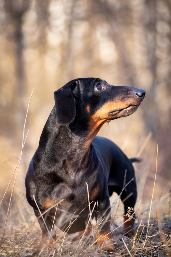 Photograph by Дмитрий Тимин