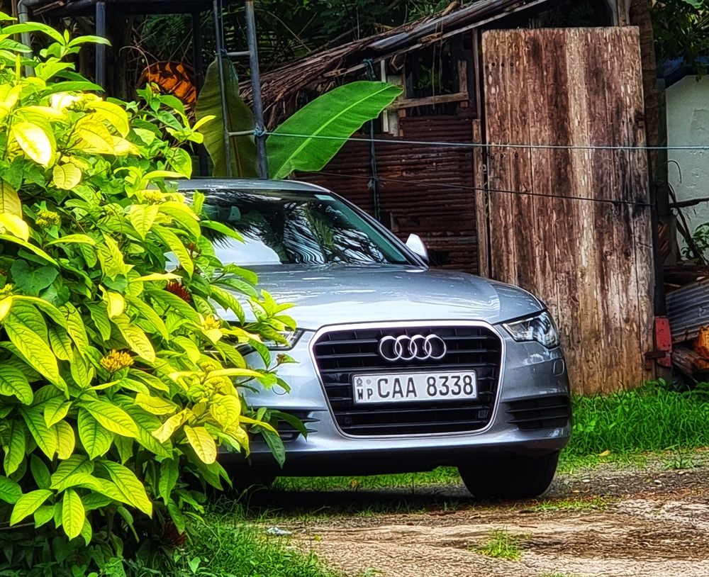 Photograph by Buddhika Dinuranga