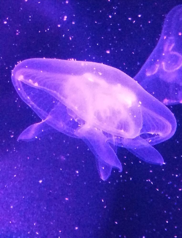 Photograph by Evgeniya Burkaeva