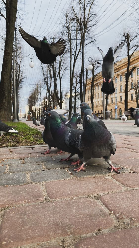 Photograph by Анастасия Яцковская