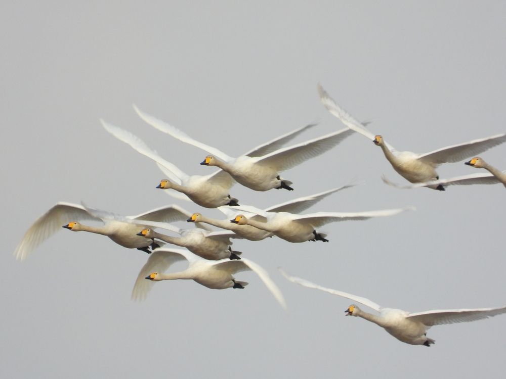 Photograph by Владимир Джерихов