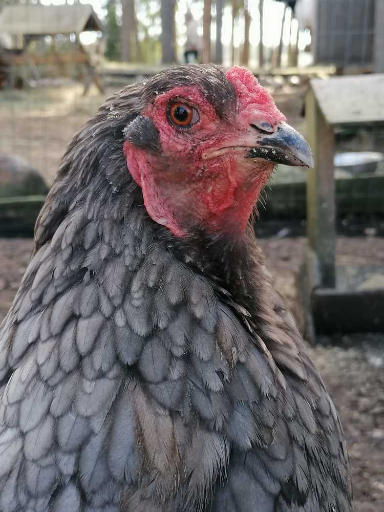 Photograph by Viktorija Baranova