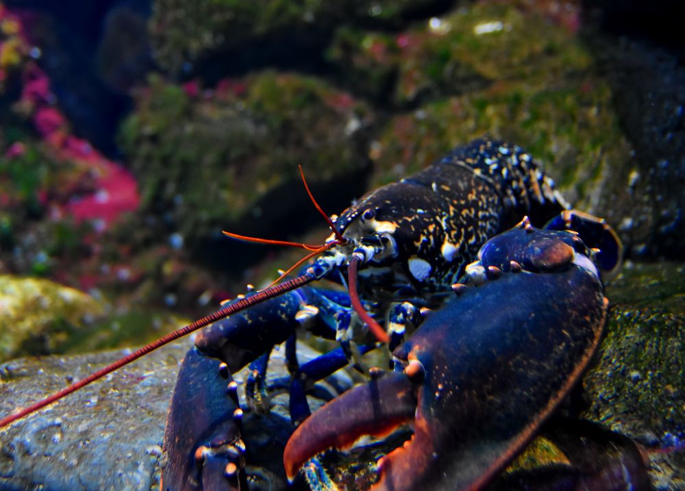 Photograph by Владислав Кравцов