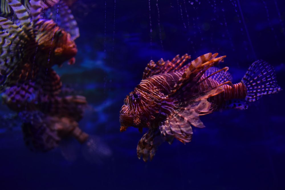 Photograph by Владислав Кравцов