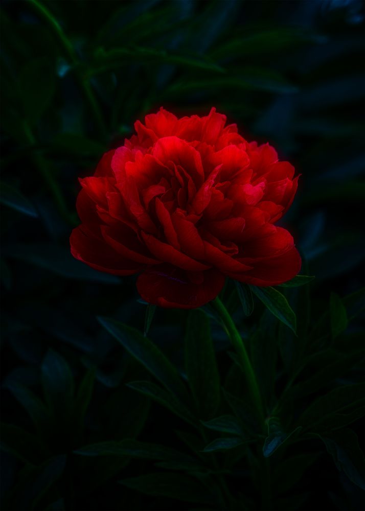 Photograph by Владимир Кваша