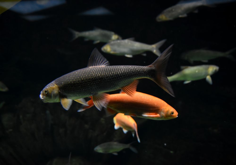 Photograph by Владислав Кравцов