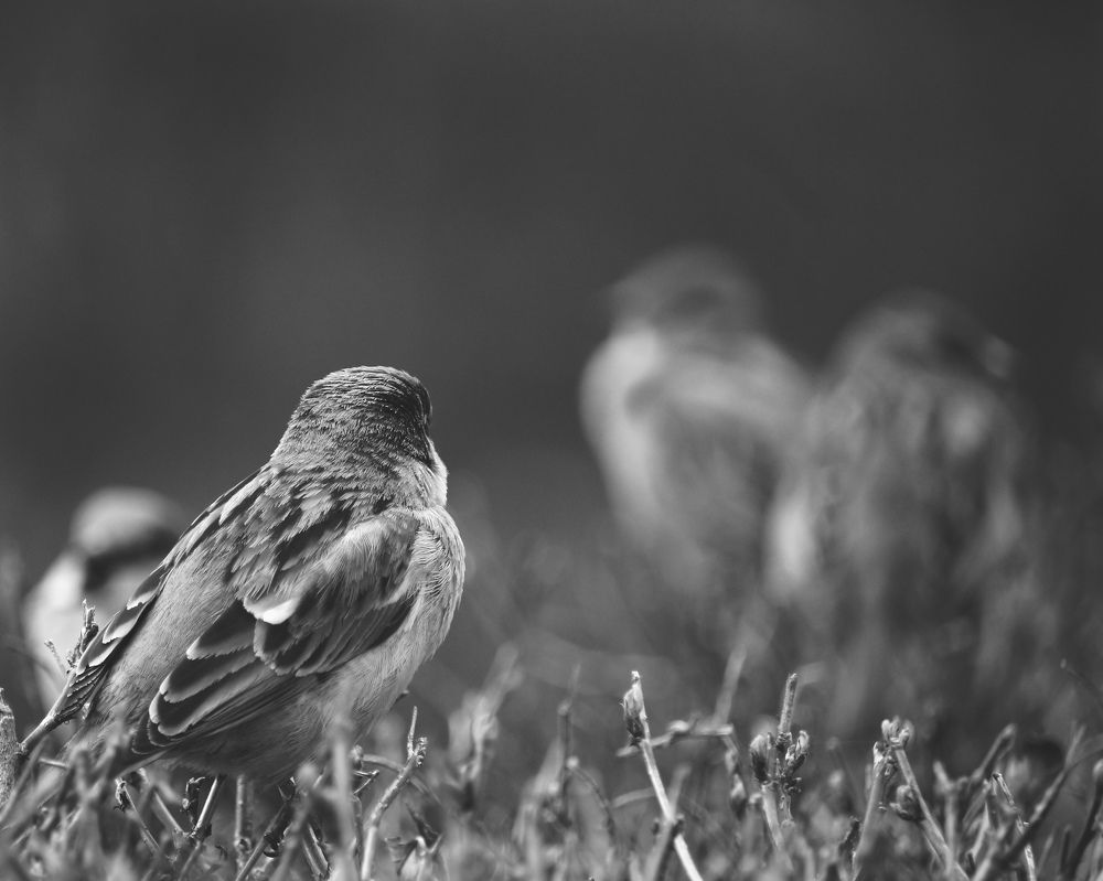 Difficult conversation